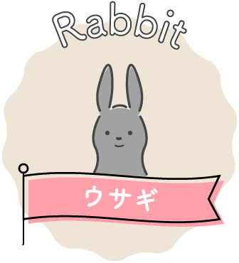 Rabbit ウサギ