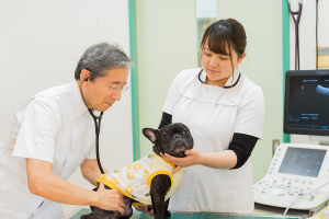 動物看護師/トリマー受付