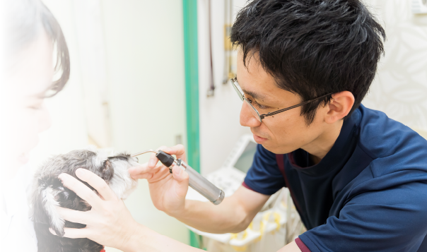 専門診療を行うだけでなく各科の専門医とも連携しています