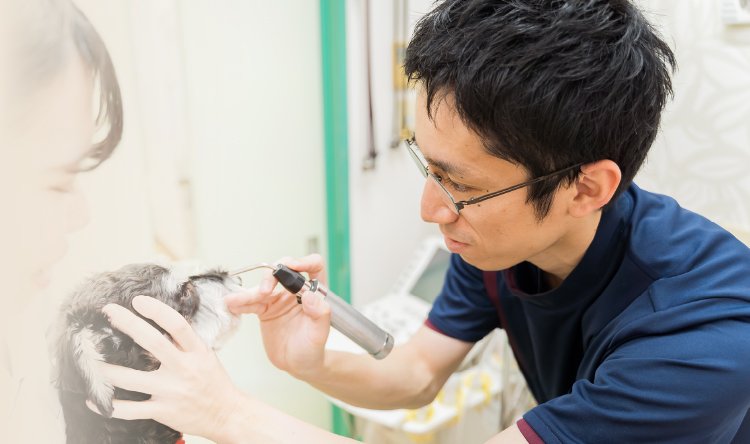 専門診療を行うだけでなく各科の専門医とも連携しています