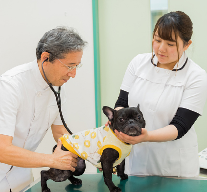 子犬・子猫を迎えた時は