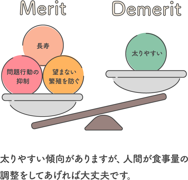 太りやすい傾向がありますが、人間が食事量の調整をしてあげれば大丈夫です。